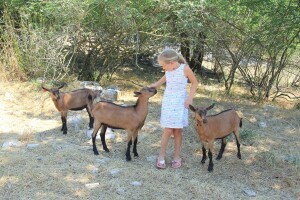Budućnost hrvatskog turizma