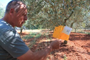 Poljoprivredni obrt Čeko