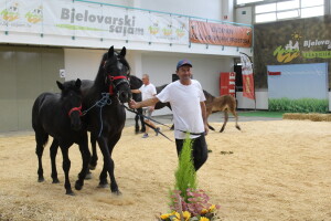 Prvi dan 29. Jesenskog međunarodnog bjelovarskog sajma
