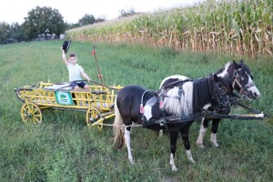 Mali Luka (3) priprema svatovsku zapregu za festivalsku povorku u Požegi