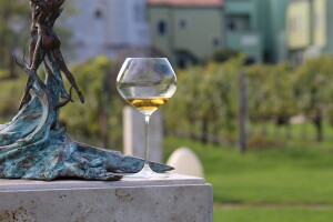 Vinarija Venissa tek nekoliko centimetara nad morem