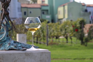 Vinarija Venissa tek nekoliko centimetara nad morem