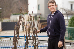 Trešnje klapice na OPG-u Pavlić