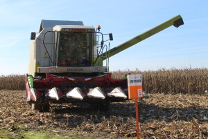 Komparativni pokus hibrida kukuruza na pokušalištu FAZOS-a