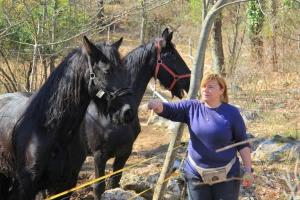 Ranč Anđeli