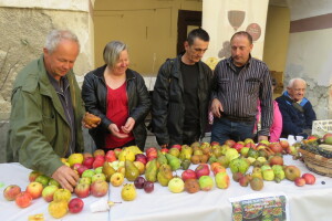 Stare sorte voća u Cerniku