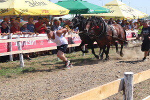 Štraparijada u Derventi 2023