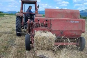 Kvalitet sena - prvi otkos lucerke i travnih smeša