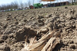 Zbog velike suše, zbrajat ćemo štete i u ratarstvu?