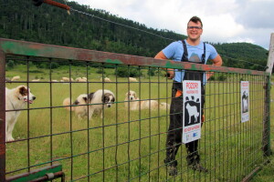 Zaštita stoke i imanja od velikih zvijeri