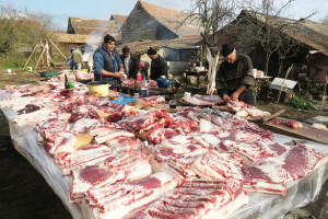 Tradicionalna slavonska svinjokolja