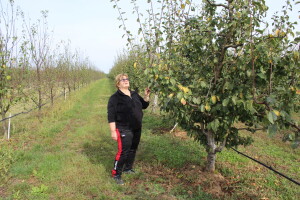 OPG Sabo Ružica u Viškovcima