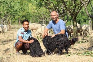 OPG Oliver Pavić, Branjin Vrh