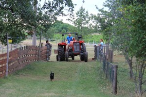Vratar NK Rijeka, ali i vinogradar i vinar Andrej Prskalo