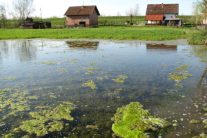 U Lijevče polju priželjkuju kišu , a u Posavini više sunca
