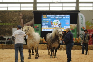 Prvi dan 31. Jesenskog međunarodnog bjelovarskog sajma