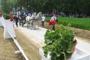 Treći sabor voćara u Gruži