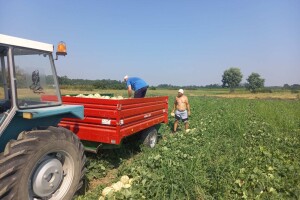 Imanje potomaka Zmaja od Bosne - Gradaščevići u Janji