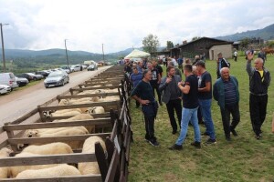 56. Regionalna poljoprivredna izložba i sajam u Rogatici
