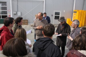 Organski uzgoj na farmama sjevernonjemačke regije Schleswig-Holstein