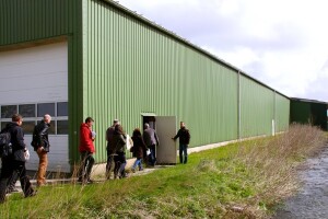 Konvencionalni uzgoj na farmama sjevernonjemačke regije Schleswig-Holstein