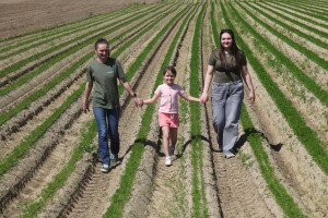 OPG Drožđek širi proizvodnju industrijske rajčice