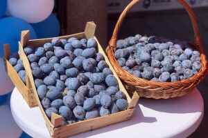 "Sajam šljive" u Gradačcu, 2024. godine