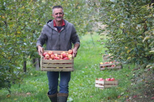 Uzgoj i prerada jabuka na OPG-u Stjepana Tonkovića