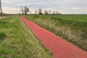 Pacifička azola kanal uz oranice obojala u crveno