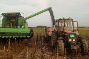 Ratari u Sremu zadovoljni prinosom suncokreta i soje, ali ne i cenom