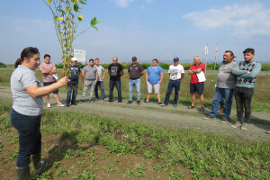 Dan polja kukuruza, soje i suncokreta Axereal Croatia