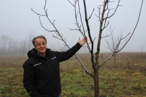 Više od tisuću stabala oraha na OPG-u Mladen Miličević