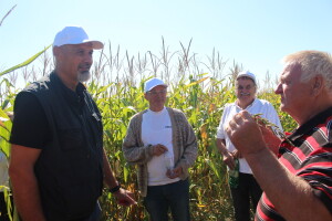 Konzervacijski sustav obrade tla