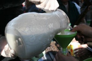 U Osijeku podijeljeno 1000 litara najkvalitetnijeg mlijeka slavonskih farmi