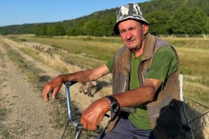 Petar Ognjenović, jedan od posljednjih baranjskih uzgajivača ovaca