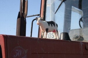 Ekipa Agroklub.com obišla je mljekarske prosvjede na čepinskoj obilaznici