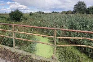 Kanali za odvodnjavanje (Vajska, opština Bač)