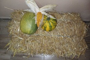 "Muzej sjemena" Zavidovići