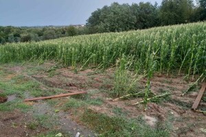 Posljedice olujnog nevremena u BiH