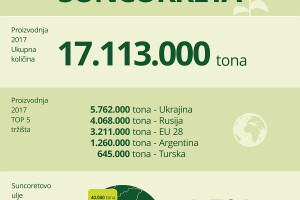 Suncokretovo ulje - infografika