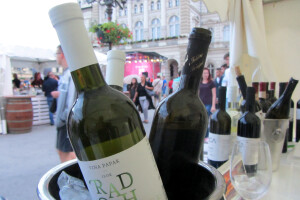 15. Interfest, Novi Sad