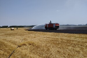 Požari na usevima pšenice u Hrvatskoj