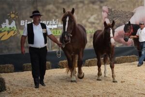 Odlična posjeta Gudovca u subotu