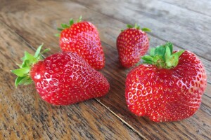 Ocjenjivanje jagoda 2022.