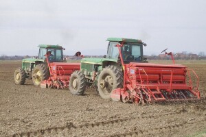 Kasni sjetva ozimog ječma i pšenice