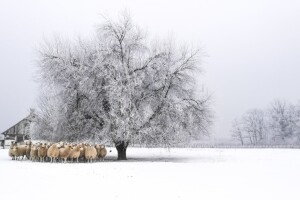 Pobjednici foto natječaja "Volim svoju županiju"