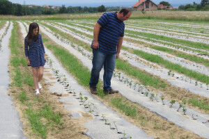 OPG Tomislav Jedličko