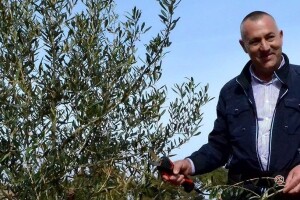 Obrt žiro i OPG Josip Kulaš