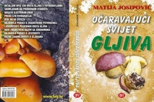 Očaravajući svijet gljiva