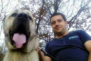 Kangali psi - čuvari stada od vukova